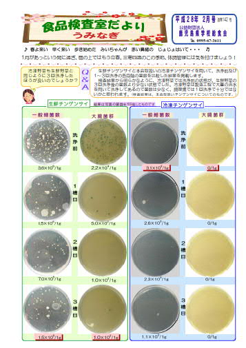 食品検査室だよりH28年2月号